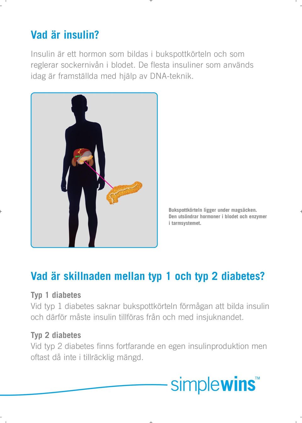 Den utsöndrar hormoner i blodet och enzymer i tarmsystemet. Vad är skillnaden mellan typ 1 och typ 2 diabetes?