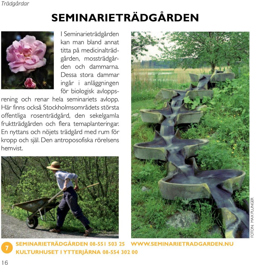 Här finns också Stockholmsområdets största offentliga rosenträdgård, den sekelgamla fruktträdgården och flera temaplanteringar.