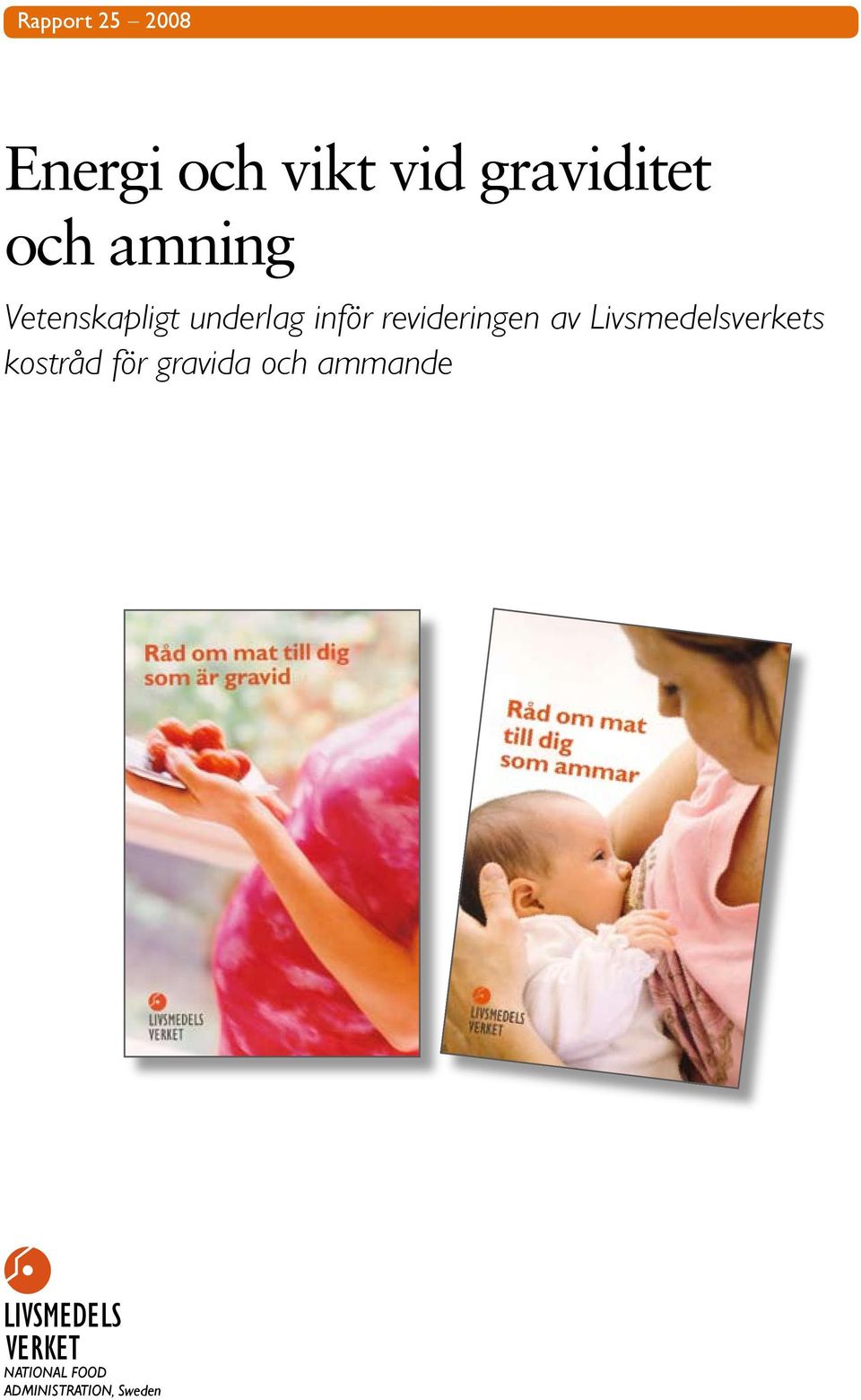 Livsmedelsverkets kostråd för gravida och ammande