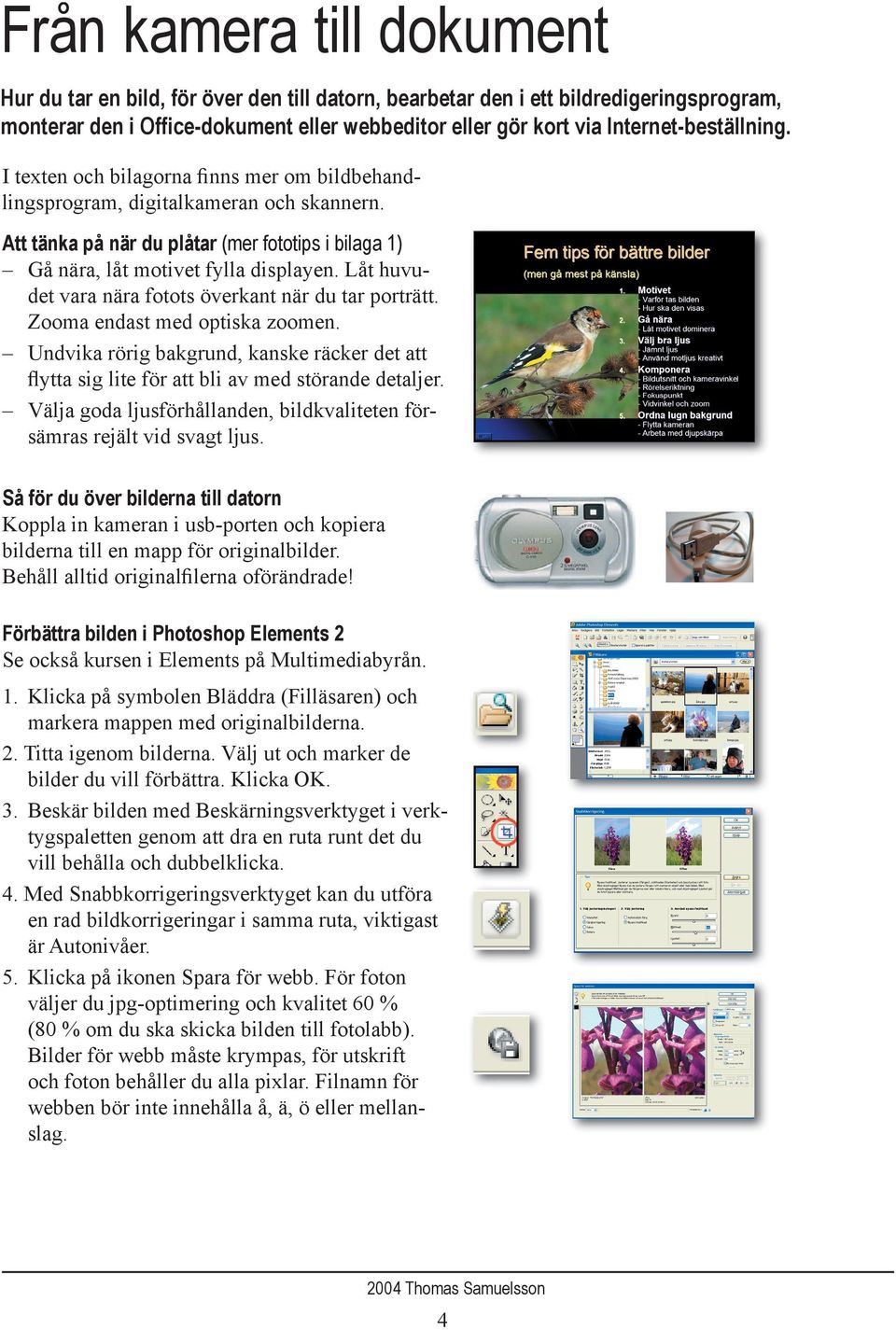 Digitala bilder. Digitala bilder - PDF Gratis nedladdning