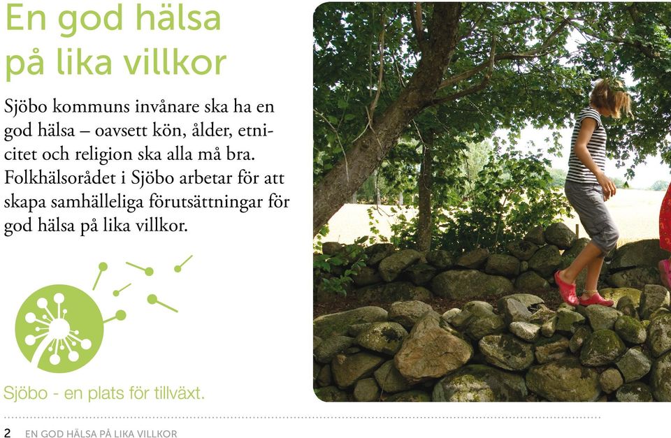 Folkhälsorådet i Sjöbo arbetar för att skapa samhälleliga