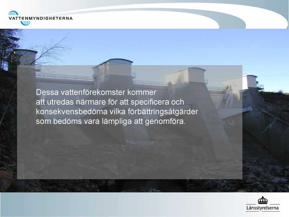 konsekvensbedöma vilka