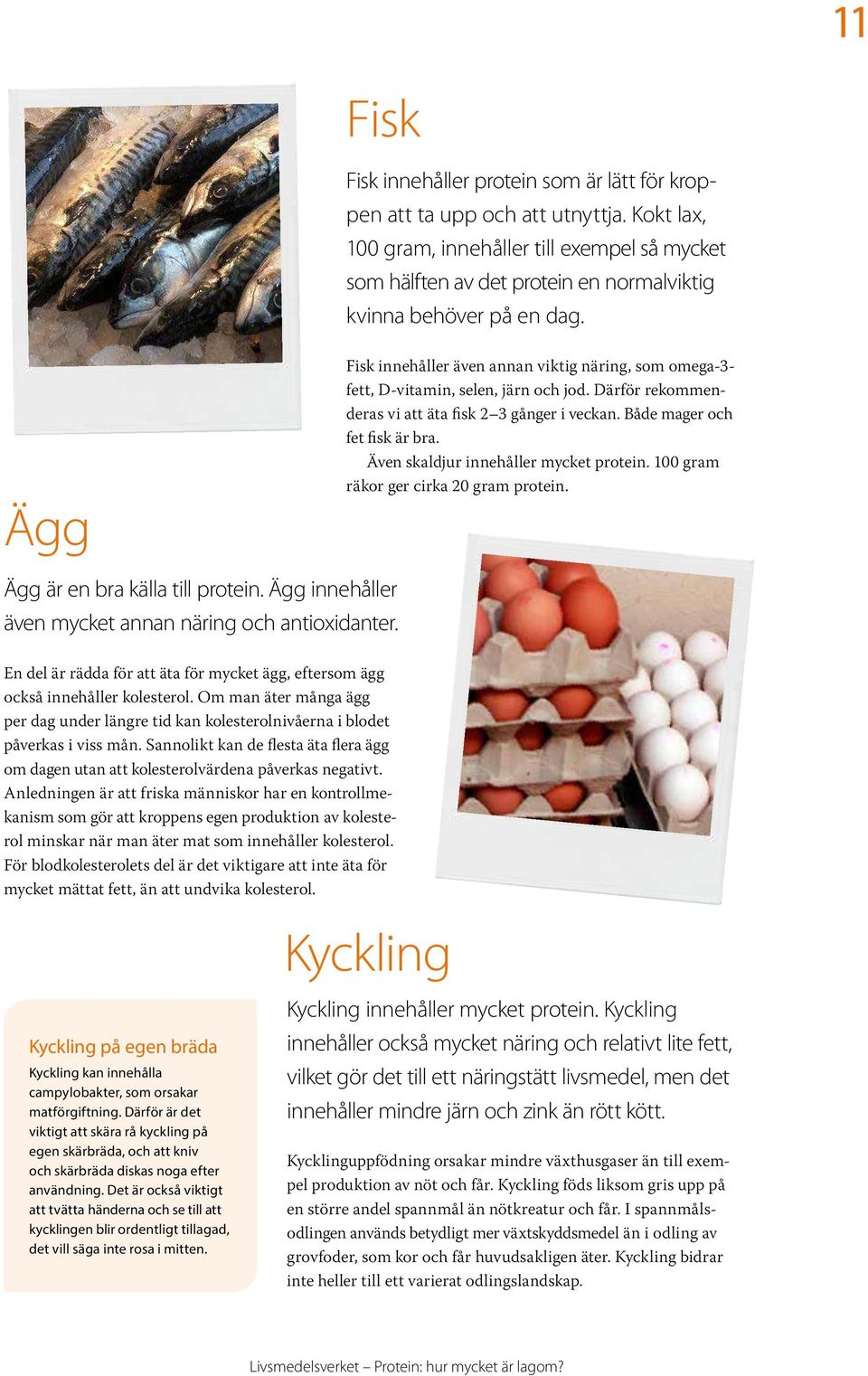 Protein hur mycket är lagom? - PDF Free Download