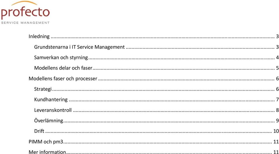 .. 5 Modellens faser och processer... 6 Strategi... 6 Kundhantering.