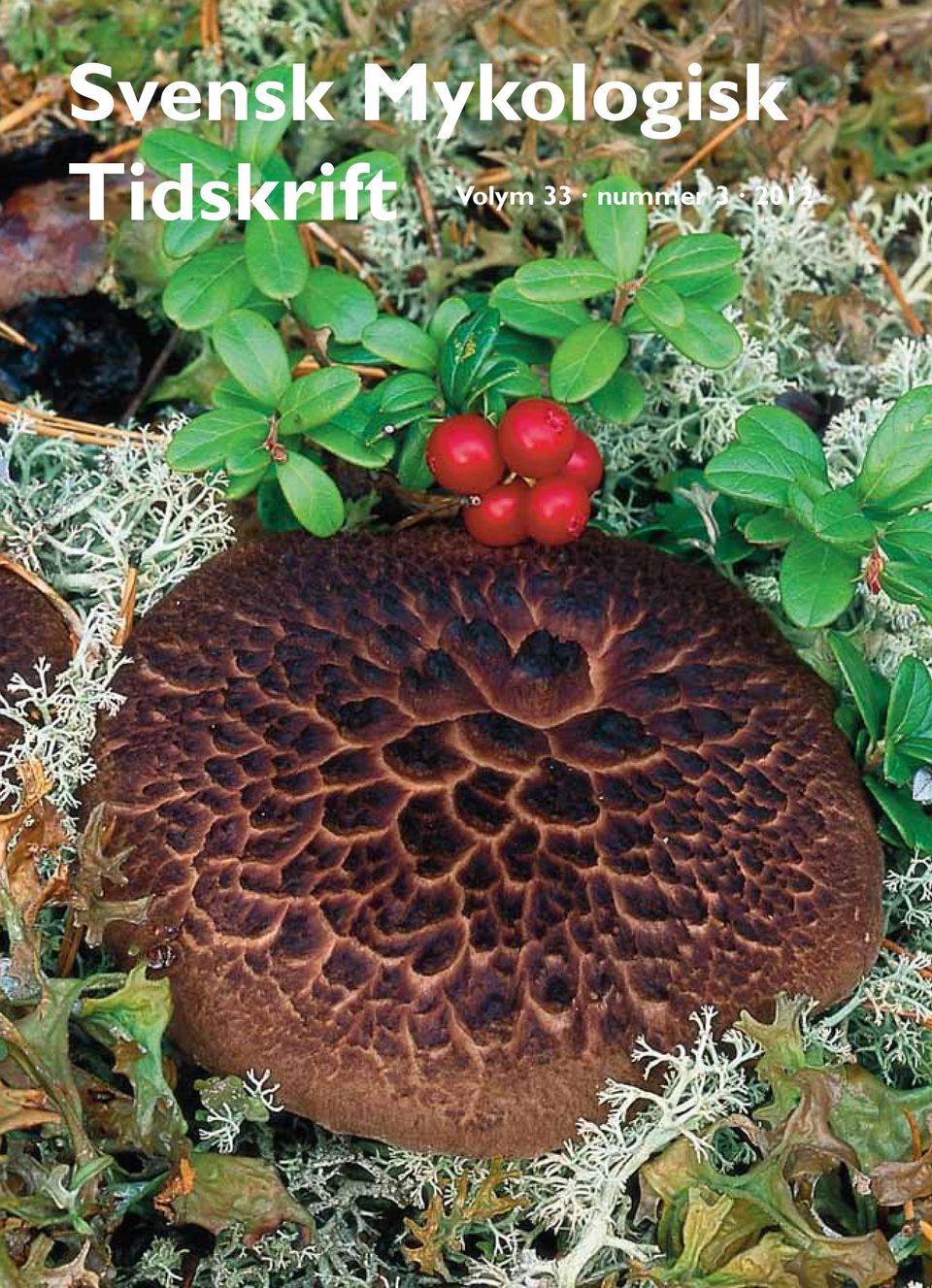 Tidskrift