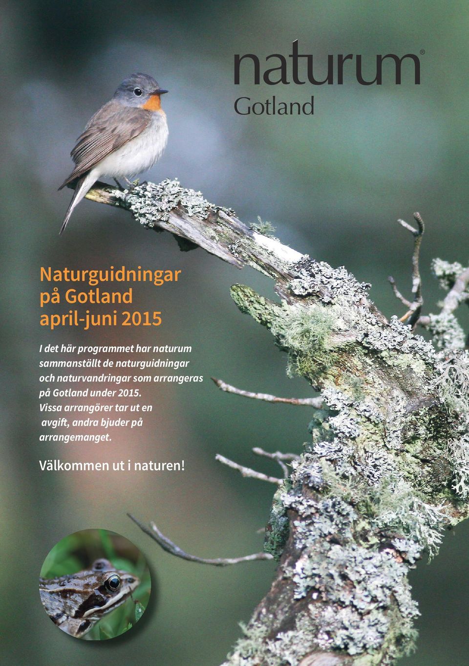 som arrangeras på Gotland under 2015.