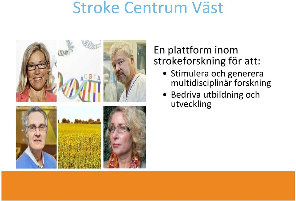 Stimulera och generera