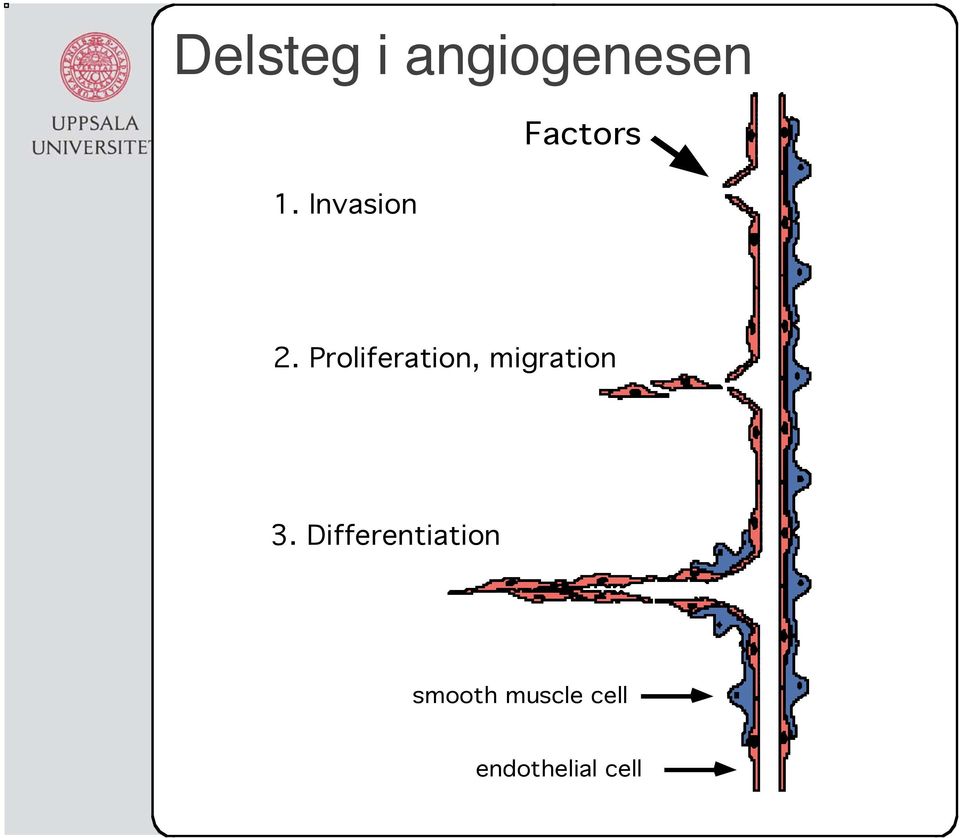 Invasion Factors 2.