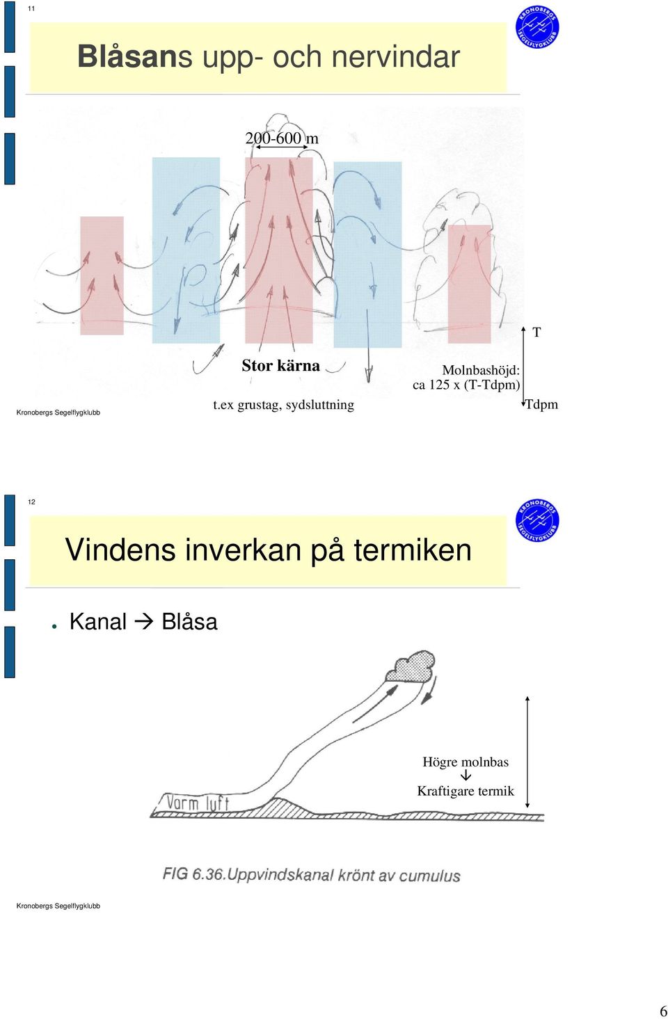 ex grustag, sydsluttning T Molnbashöjd: ca 125 x