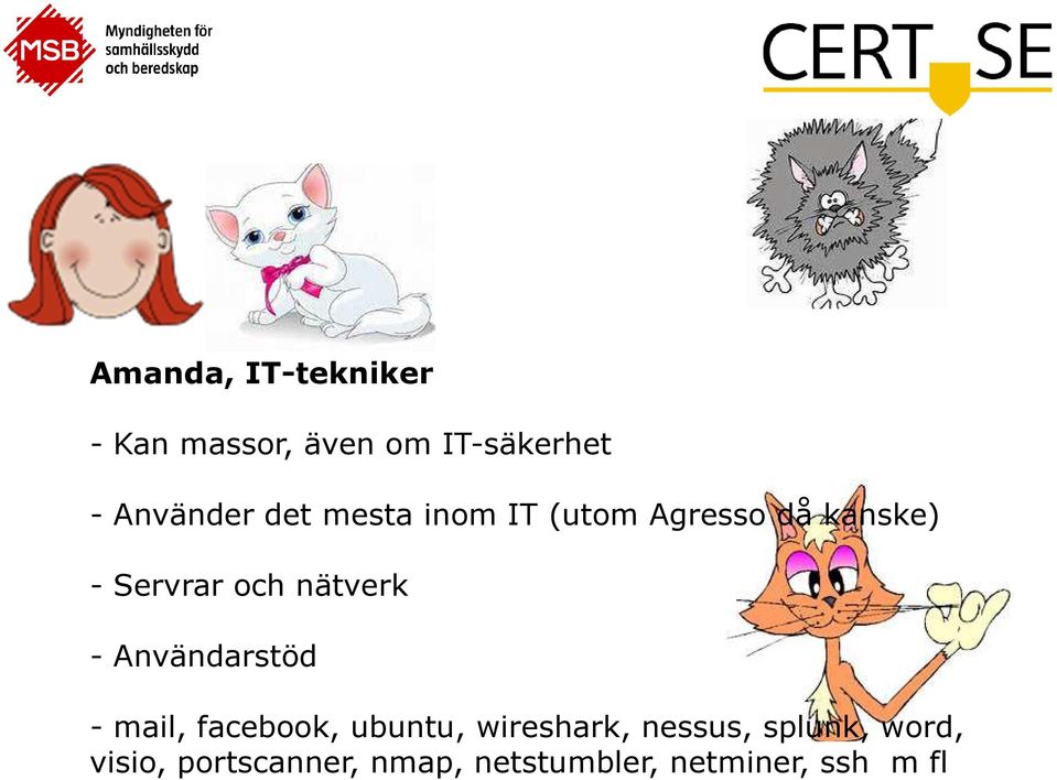 - Användarstöd - mail, facebook, ubuntu, wireshark, nessus,