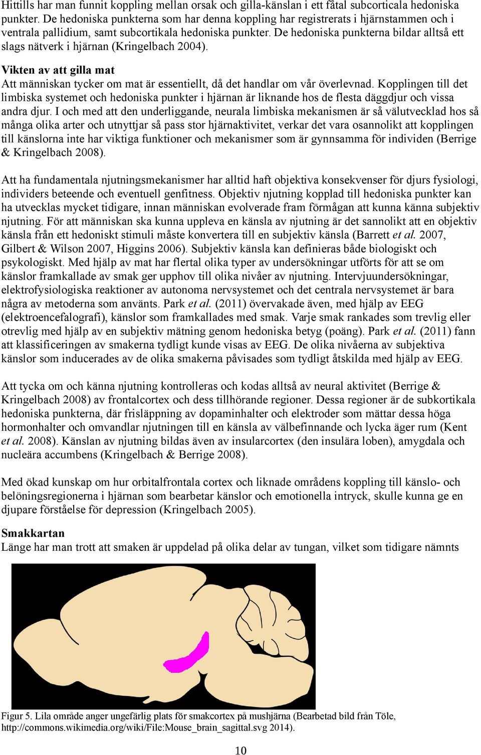 De hedoniska punkterna bildar alltså ett slags nätverk i hjärnan (Kringelbach 2004). Vikten av att gilla mat Att människan tycker om mat är essentiellt, då det handlar om vår överlevnad.