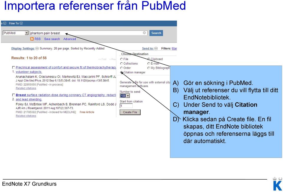 C) Under Send to välj Citation manager. D) Klicka sedan på Create file.