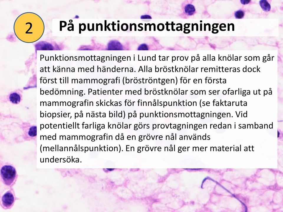 Patienter med bröstknölar som ser ofarliga ut på mammografin skickas för finnålspunktion (se faktaruta biopsier, på nästa bild) på