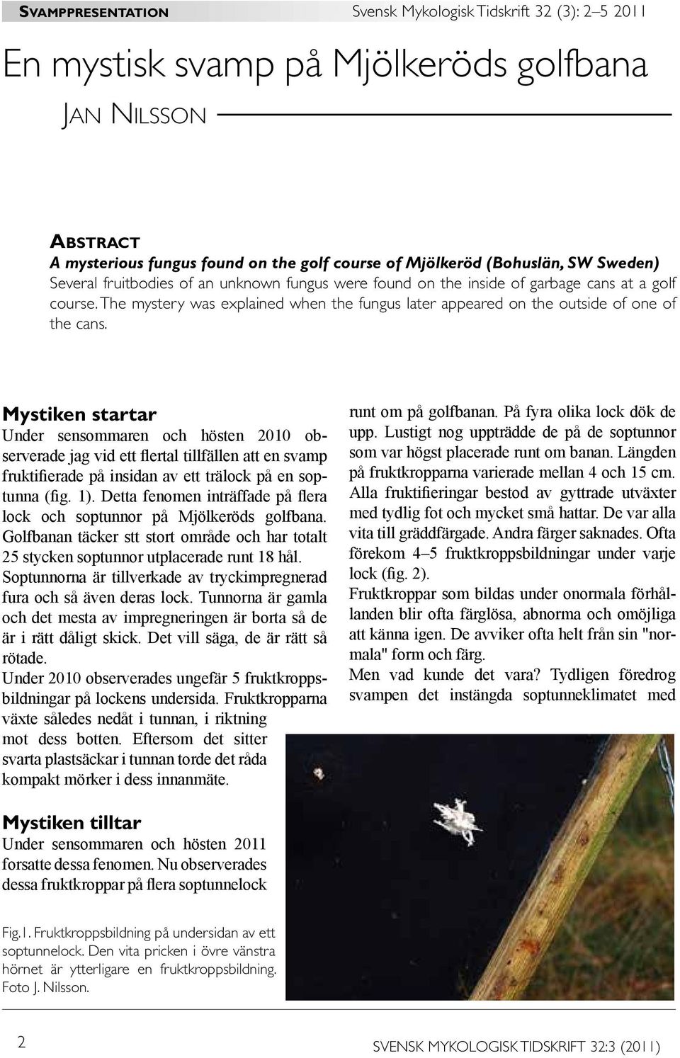 Mystiken startar Under sensommaren och hösten 2010 observerade jag vid ett flertal tillfällen att en svamp fruktifierade på insidan av ett trälock på en soptunna (fig. 1).