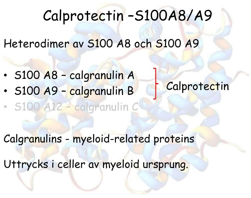 S100 A12 calgranulin C Calprotectin Calgranulins -