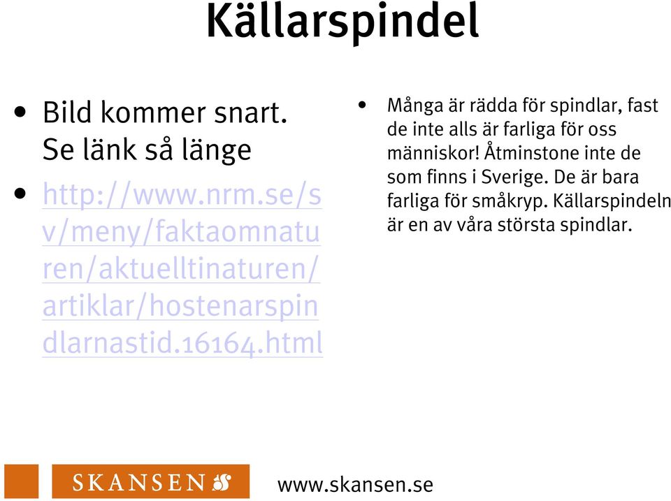 html Många är rädda för spindlar, fast de inte alls är farliga för oss människor!