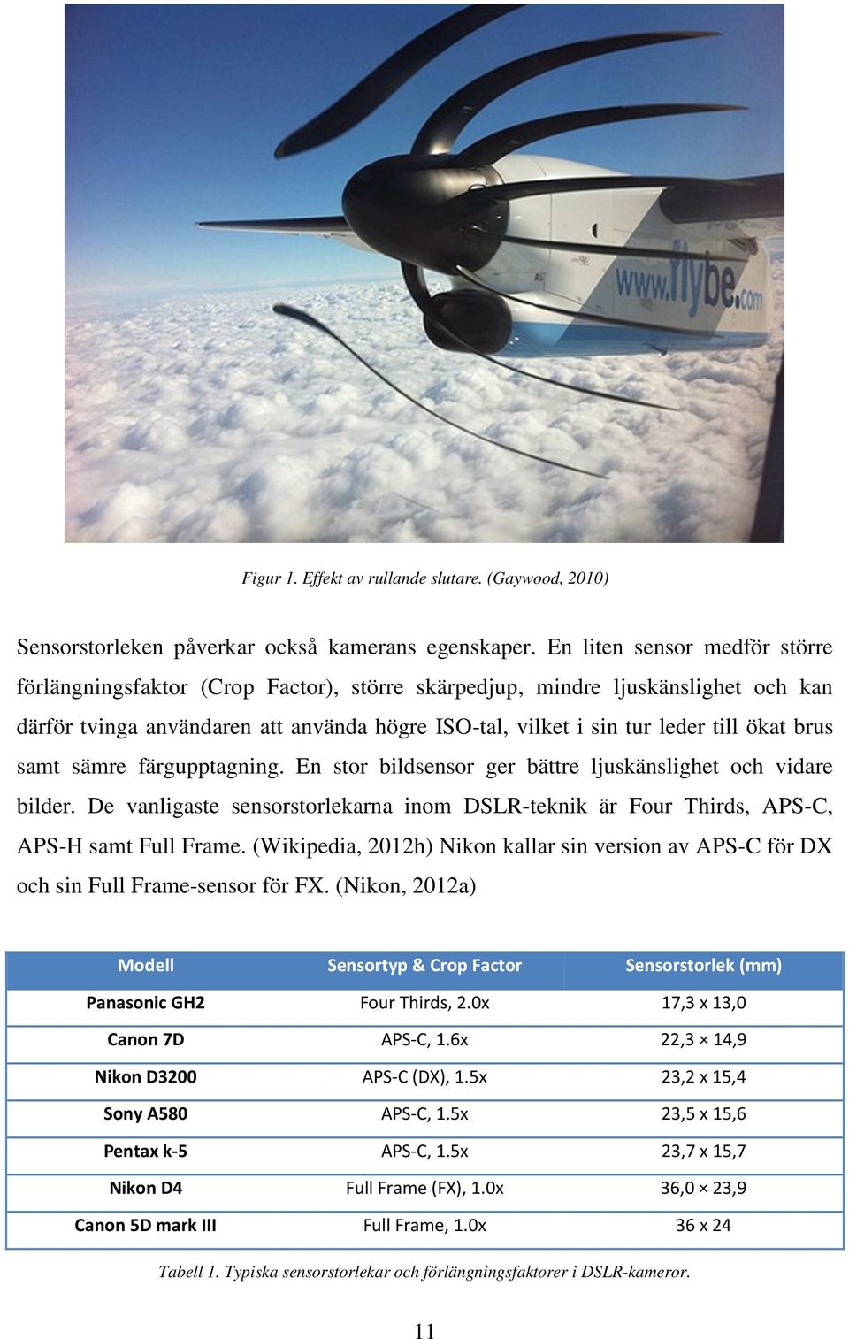 brus samt sämre färgupptagning. En stor bildsensor ger bättre ljuskänslighet och vidare bilder. De vanligaste sensorstorlekarna inom DSLR-teknik är Four Thirds, APS-C, APS-H samt Full Frame.