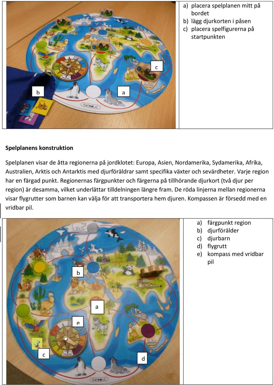 Regionernas färgpunkter och färgerna på tillhörande djurkort (två djur per region) är desamma, vilket underlättar tilldelningen längre fram.