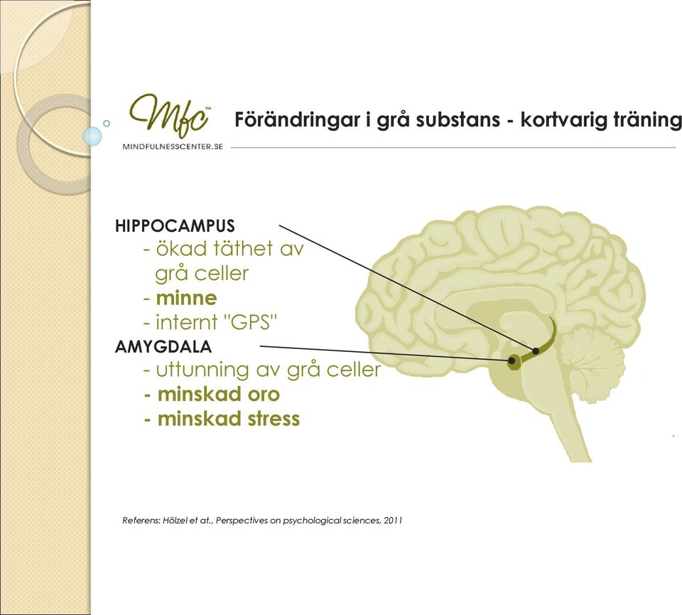 uttunning av grå celler - minskad oro - minskad stress