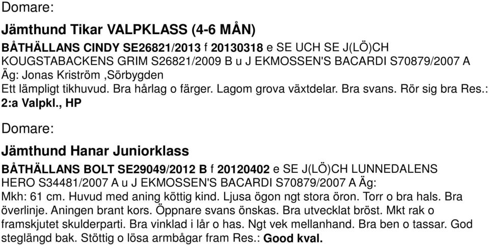 , HP Domare: Jämthund Hanar Juniorklass BÅTHÄLLANS BOLT SE29049/2012 B f 20120402 e SE J(LÖ)CH LUNNEDALENS HERO S34481/2007 A u J EKMOSSEN'S BACARDI S70879/2007 A Äg: Mkh: 61 cm.