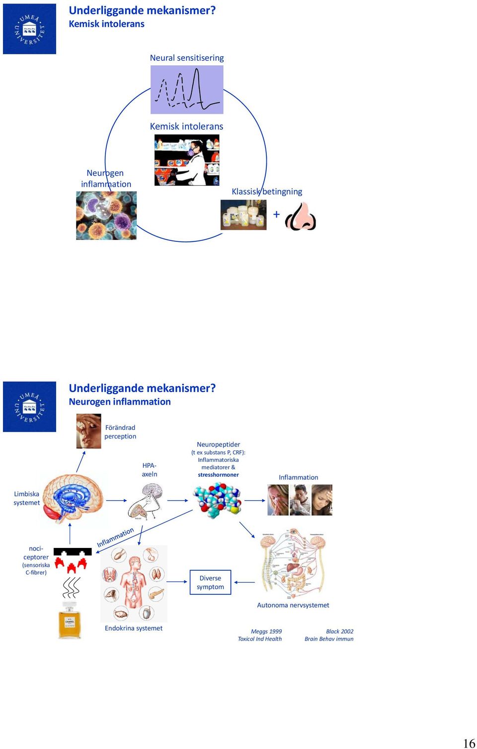 inflammation Förändrad perception HPAaxeln Neuropeptider (t ex substans P, CRF): Inflammatoriska mediatorer &