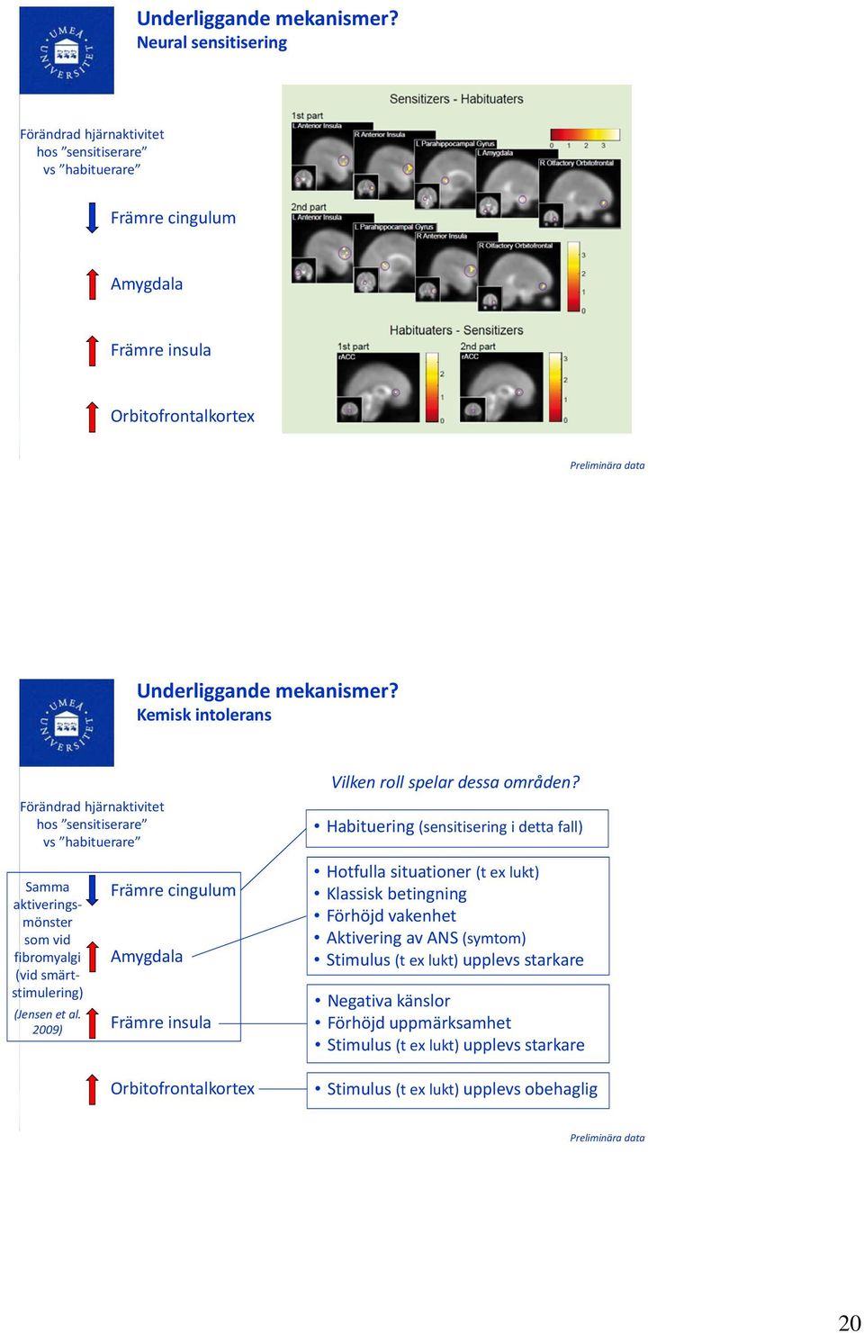 sensitiserare vs habituerare Samma aktiveringsmönster som vid fibromyalgi (vid smärtstimulering) (Jensen et al.