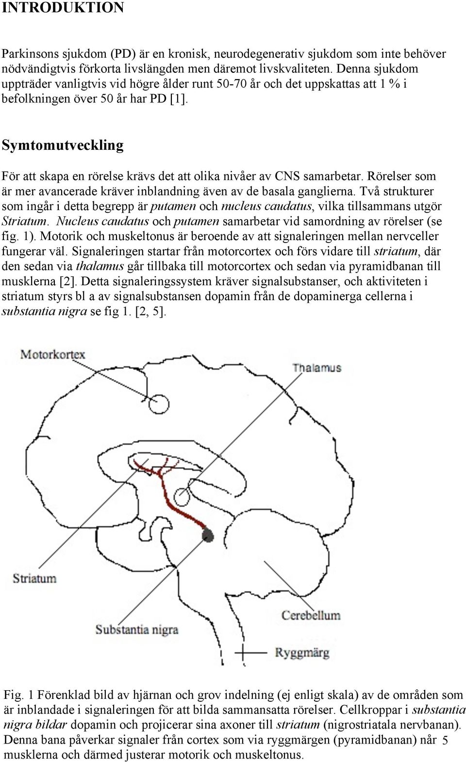 Symtomutveckling För att skapa en rörelse krävs det att olika nivåer av CNS samarbetar. Rörelser som är mer avancerade kräver inblandning även av de basala ganglierna.