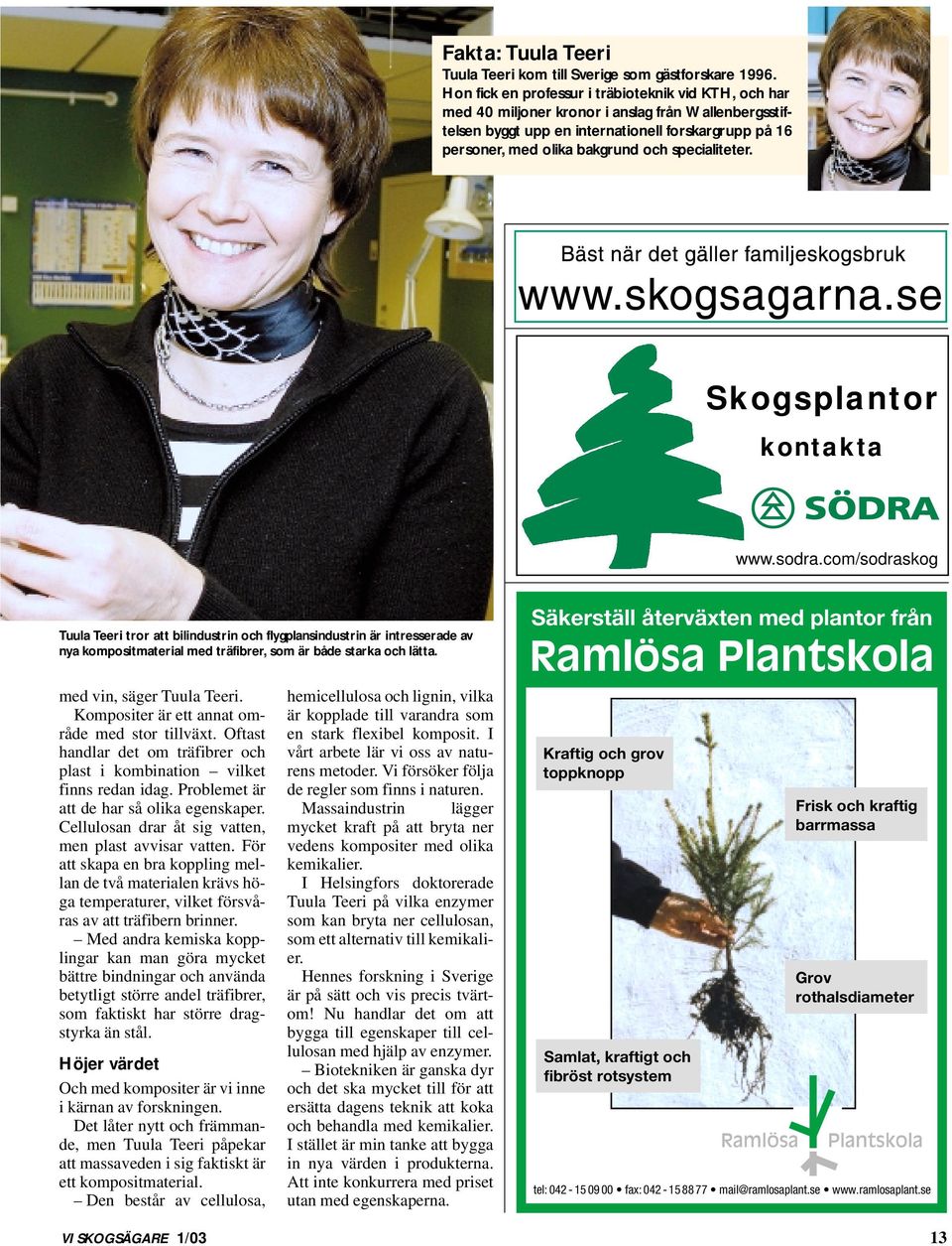 specialiteter. Skogsplantor kontakta www.sodra.
