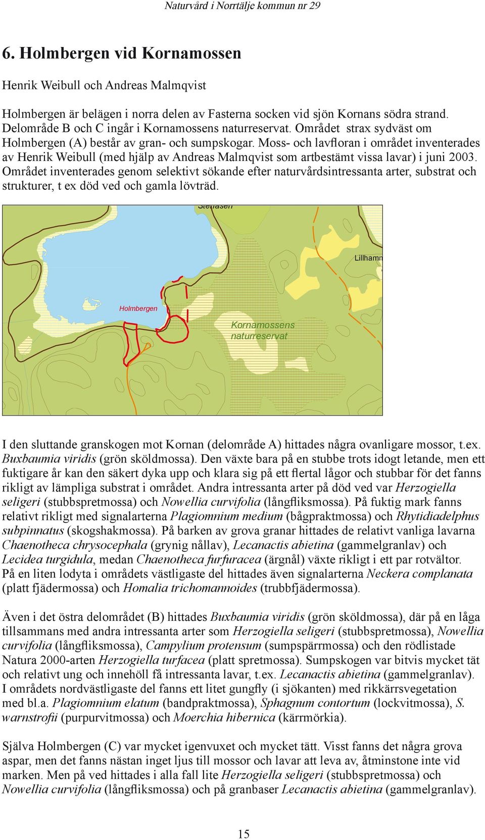 Moss- och lavfloran i området inventerades av Henrik Weibull (med hjälp av Andreas Malmqvist som artbestämt vissa lavar) i juni 2003.