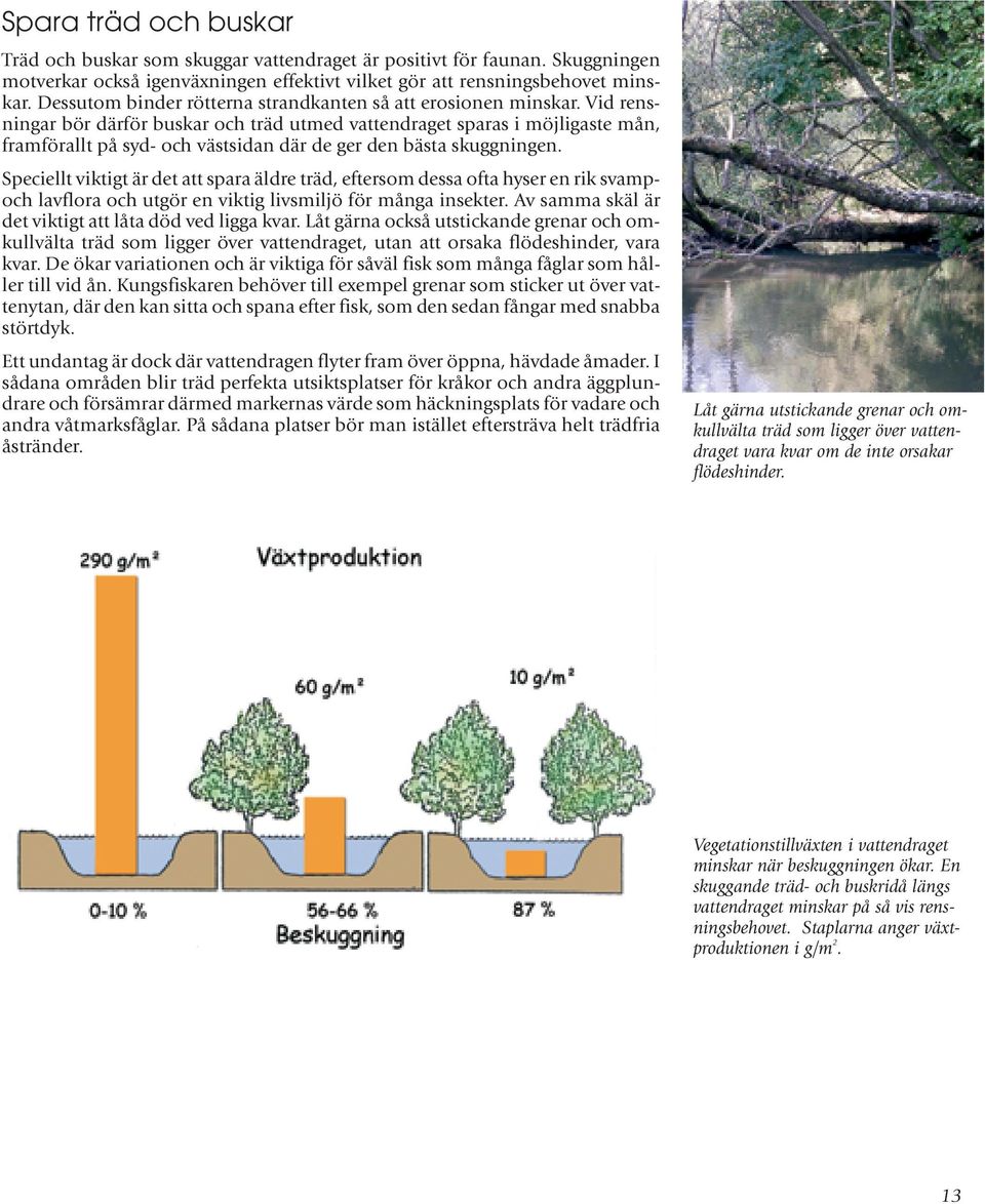 Vid rensningar bör därför buskar och träd utmed vattendraget sparas i möjligaste mån, framförallt på syd- och västsidan där de ger den bästa skuggningen.