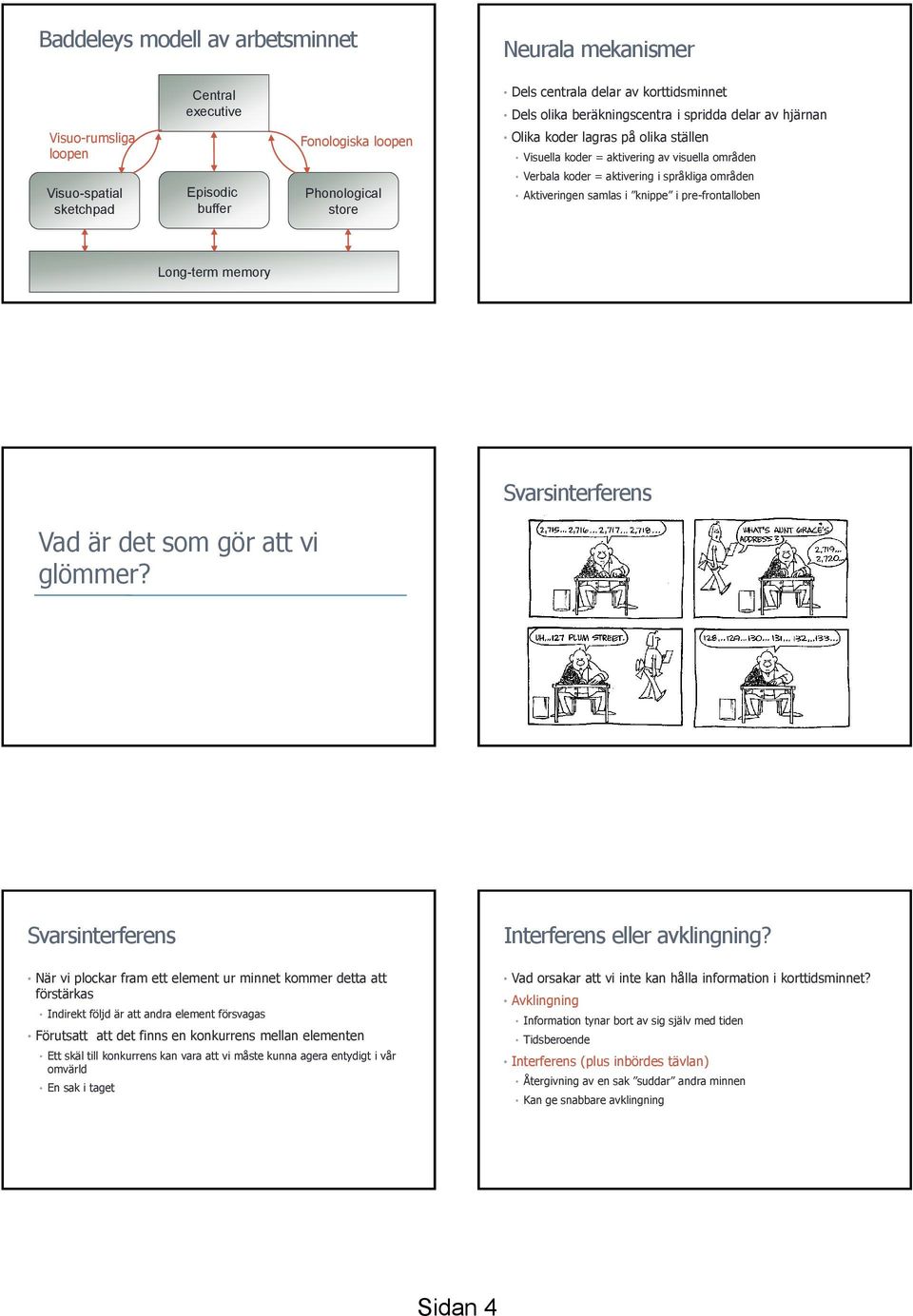 Aktiveringen samlas i knippe i pre-frontalloben Long-term memory Svarsinterferens Vad är det som gör att vi glömmer?