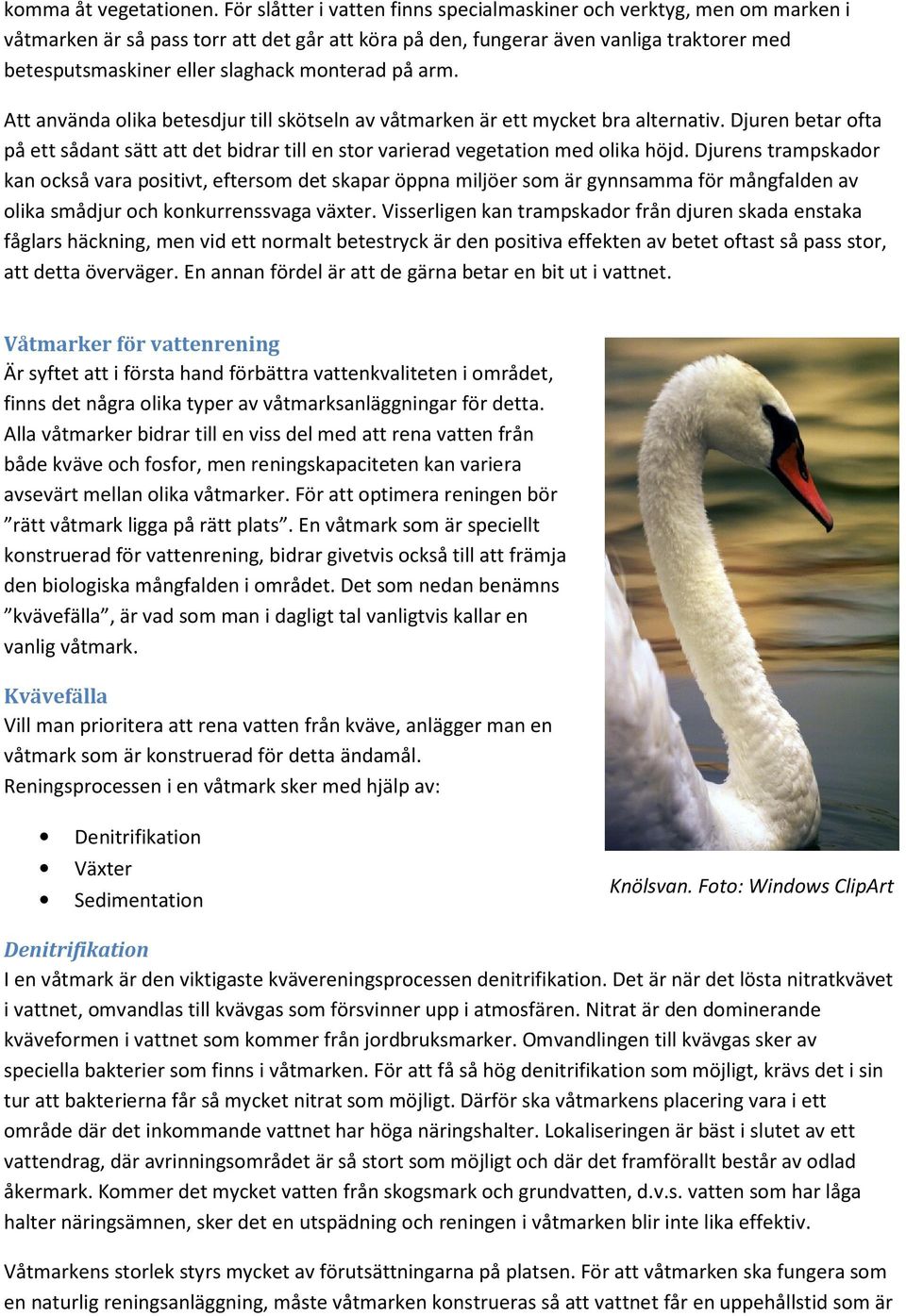 monterad på arm. Att använda olika betesdjur till skötseln av våtmarken är ett mycket bra alternativ.