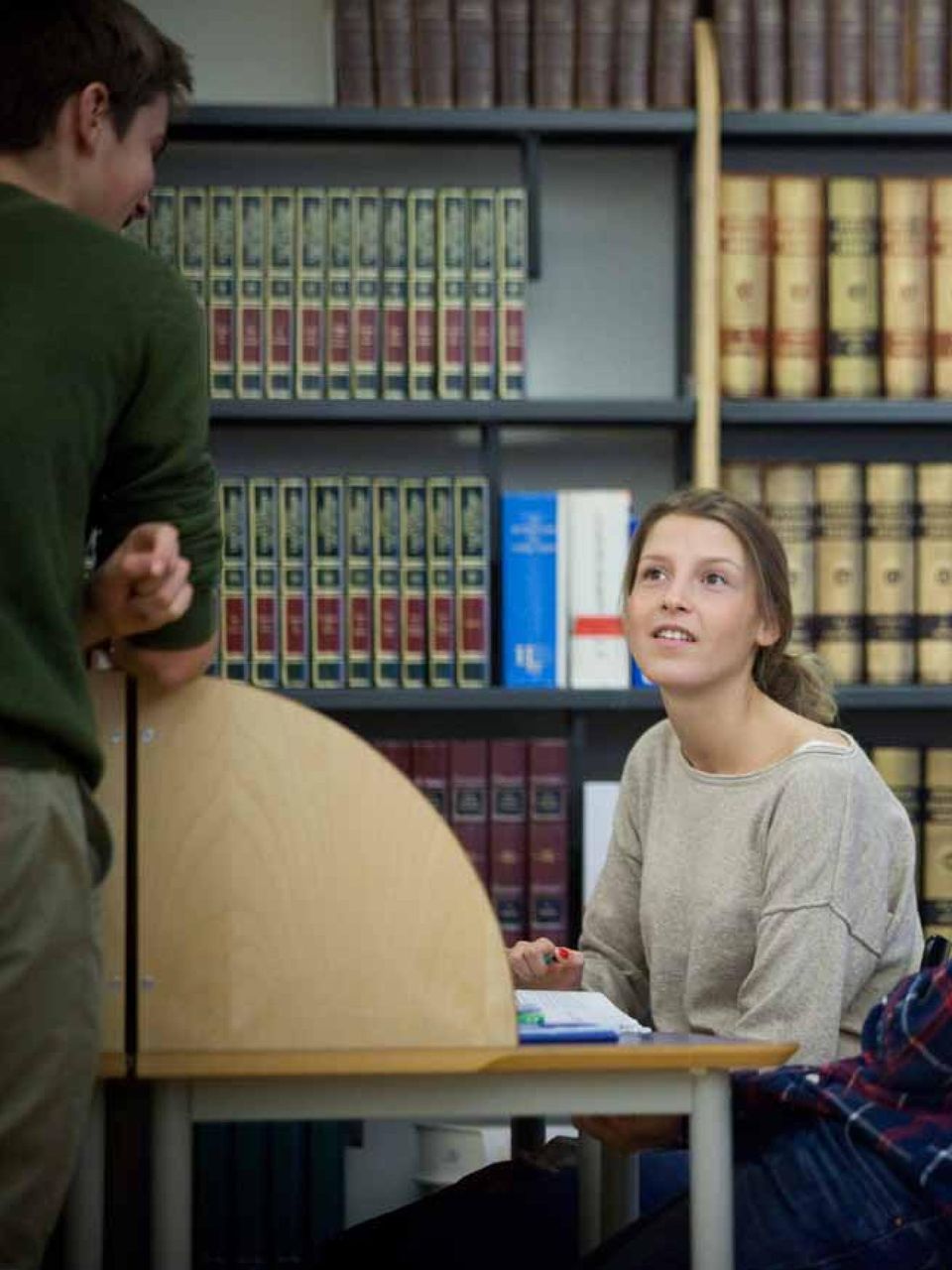 skolbibliotek en