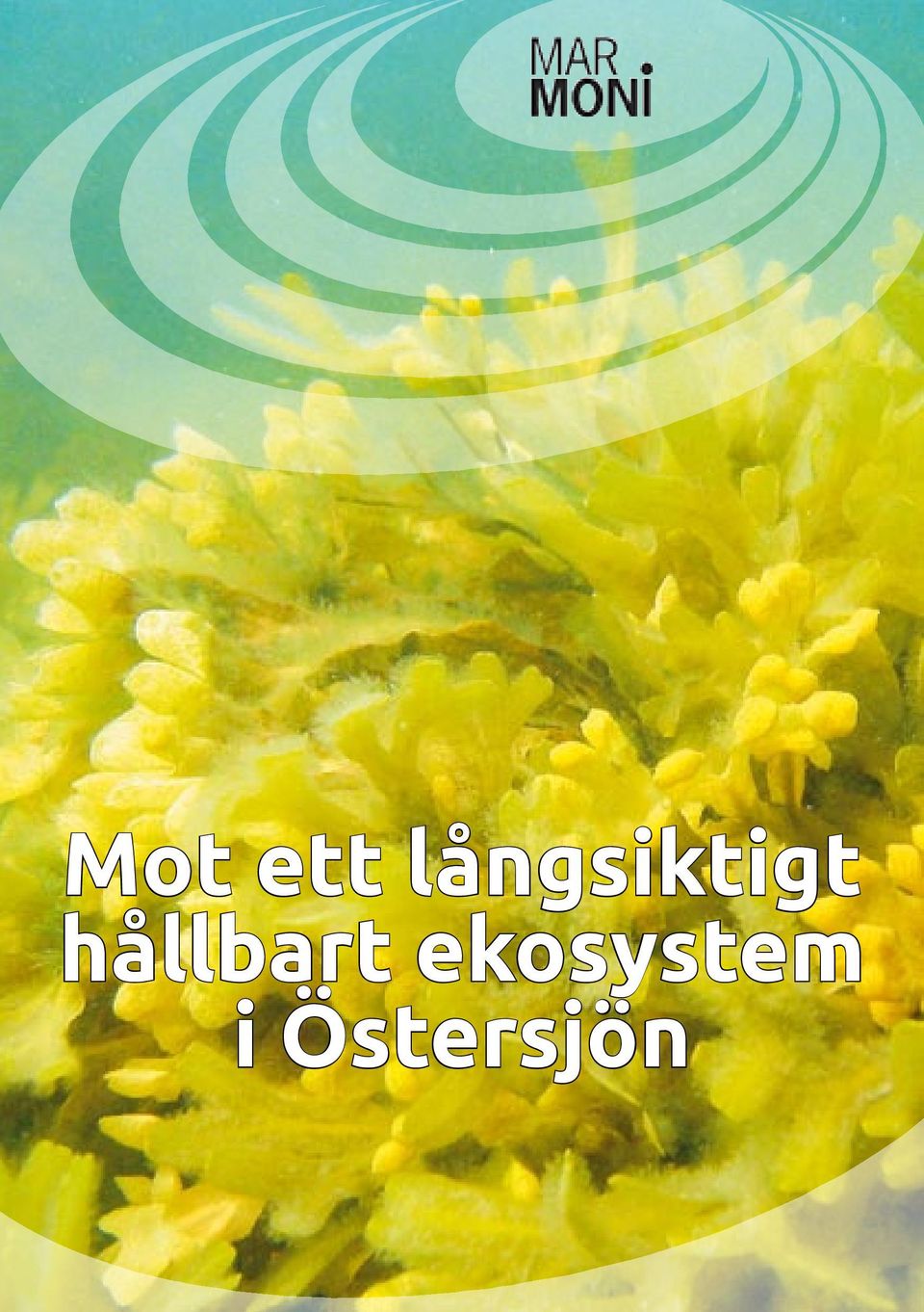 hållbart