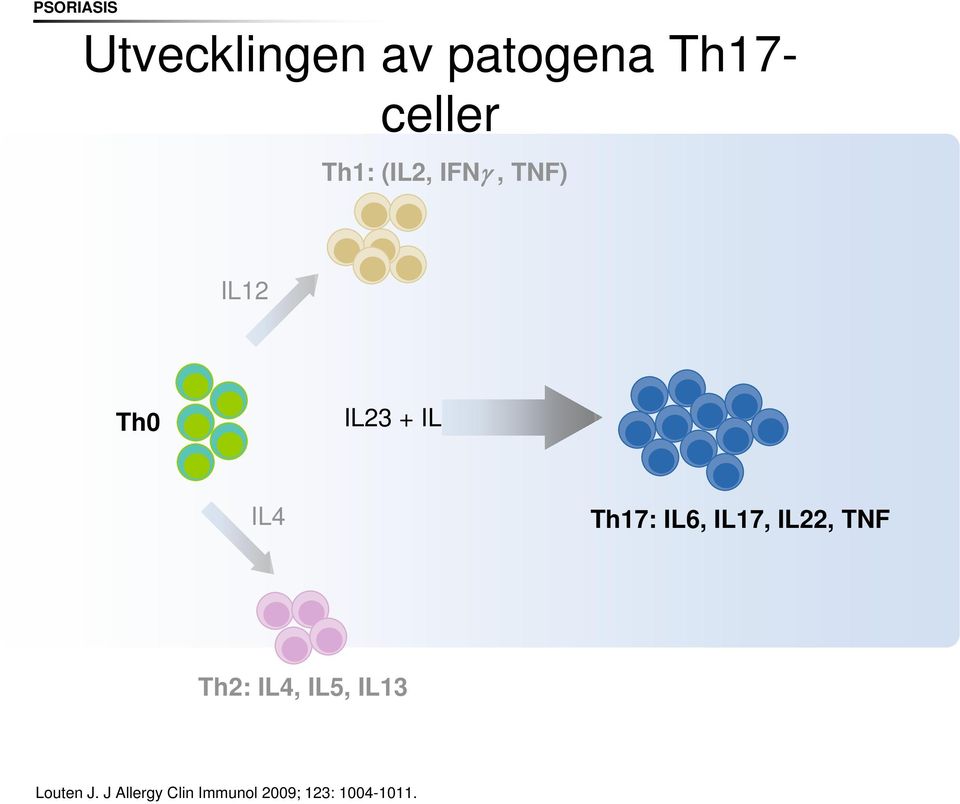 Th17: IL6, IL17, IL22, TNF Th2: IL4, IL5, IL13