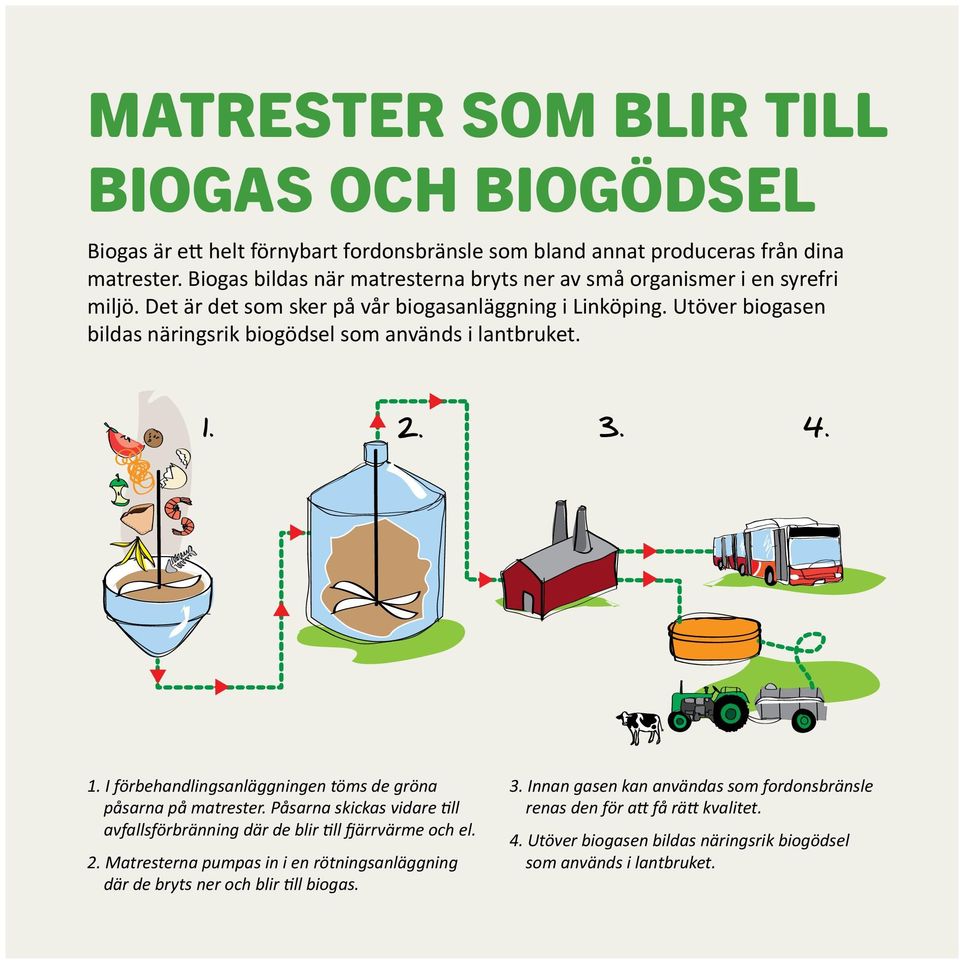 Utöver biogasen bildas näringsrik biogödsel som används i lantbruket. 1. 2. 3. 4. 1. I förbehandlingsanläggningen töms de gröna påsarna på matrester.