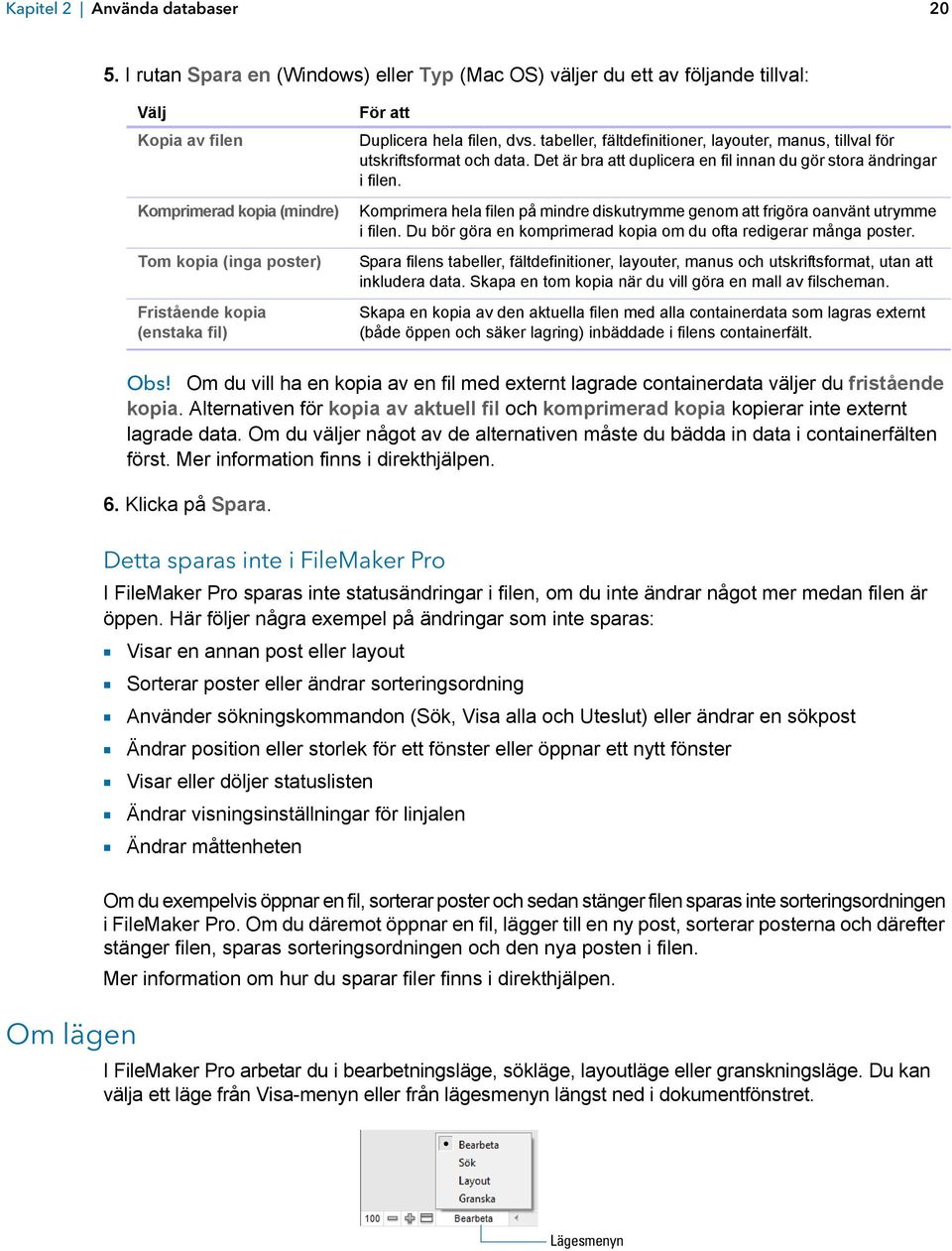 Duplicera hela filen, dvs. tabeller, fältdefinitioner, layouter, manus, tillval för utskriftsformat och data. Det är bra att duplicera en fil innan du gör stora ändringar i filen.