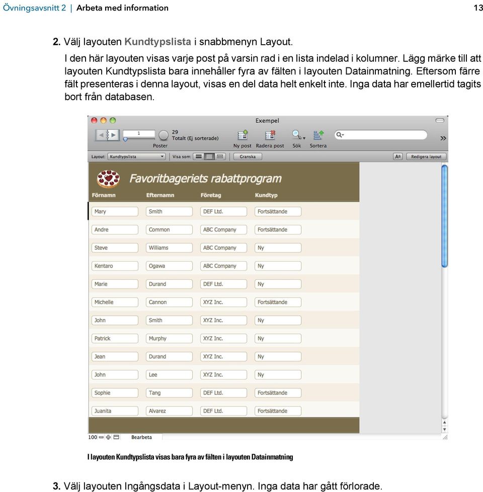 Lägg märke till att layouten Kundtypslista bara innehåller fyra av fälten i layouten Datainmatning.
