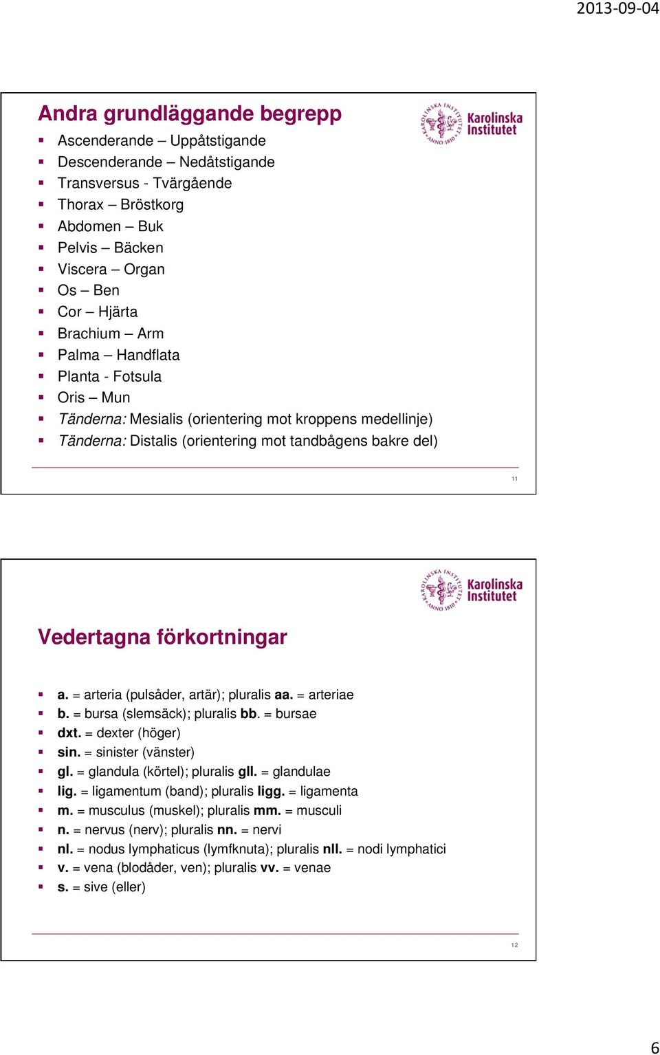 = arteria (pulsåder, artär); pluralis aa. = arteriae b. = bursa (slemsäck); pluralis bb. = bursae dxt. = dexter (höger) sin. = sinister (vänster) gl. = glandula (körtel); pluralis gll.