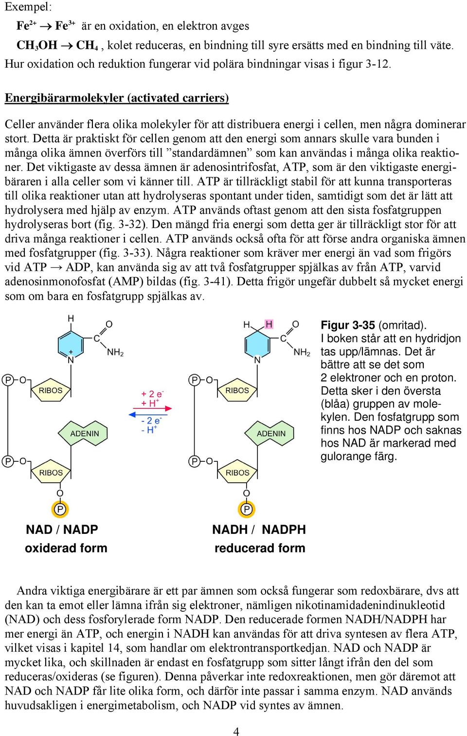 Energibärarmolekyler (activated carriers) Celler använder flera olika molekyler för att distribuera energi i cellen, men några dominerar stort.