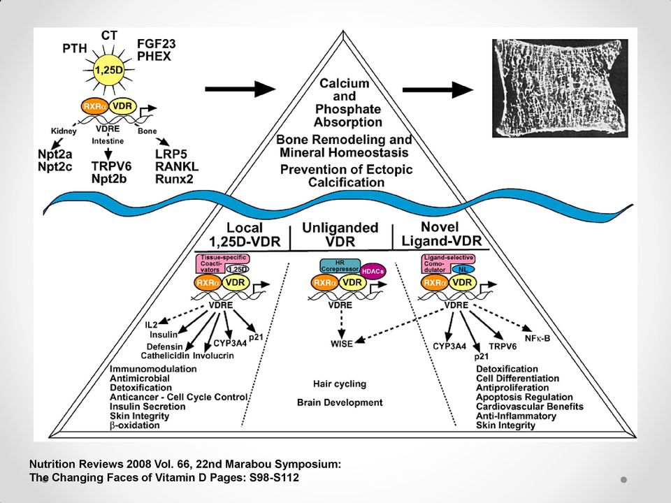 Symposium: The Changing