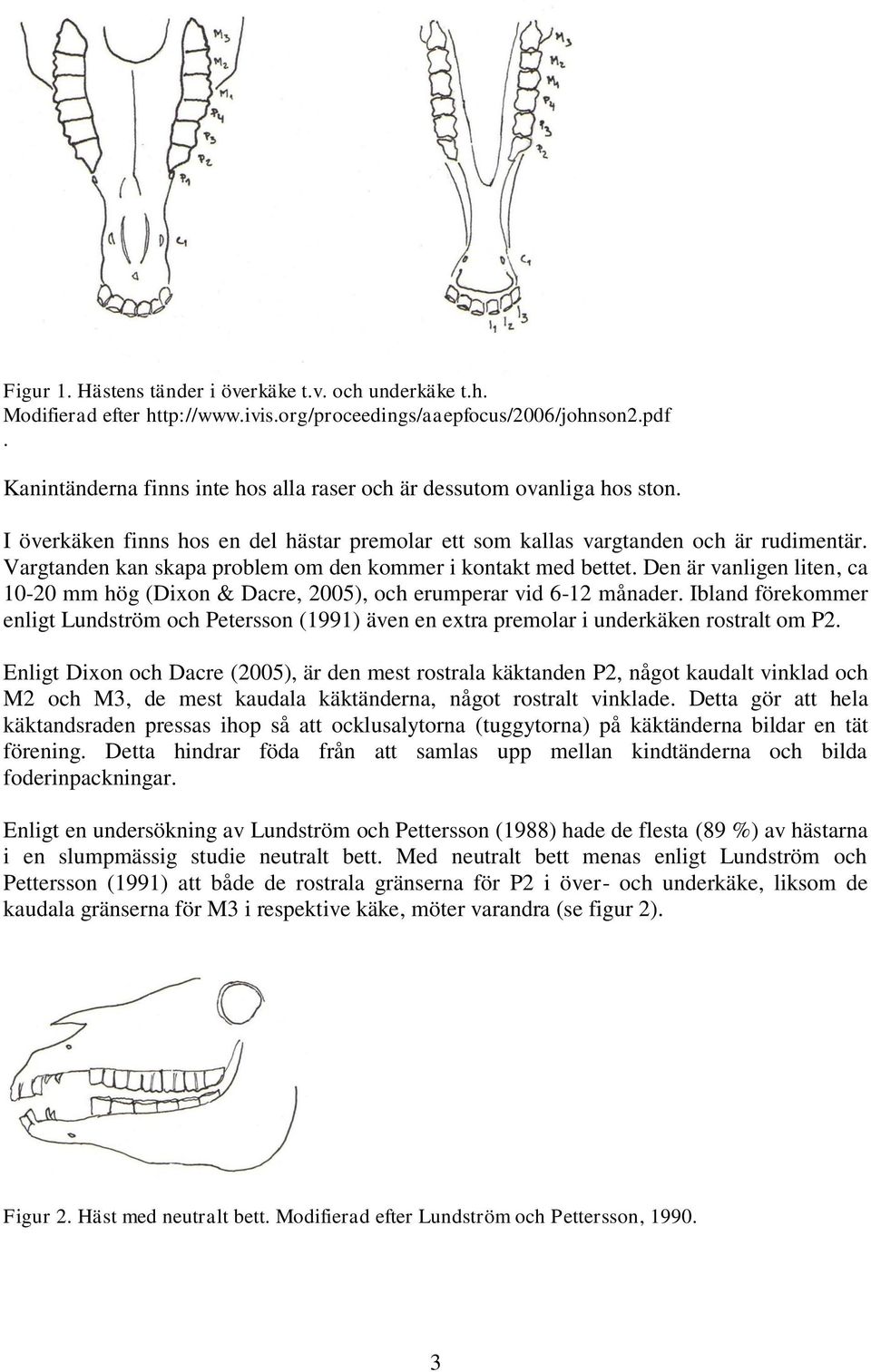 Vargtanden kan skapa problem om den kommer i kontakt med bettet. Den är vanligen liten, ca 10-20 mm hög (Dixon & Dacre, 2005), och erumperar vid 6-12 månader.