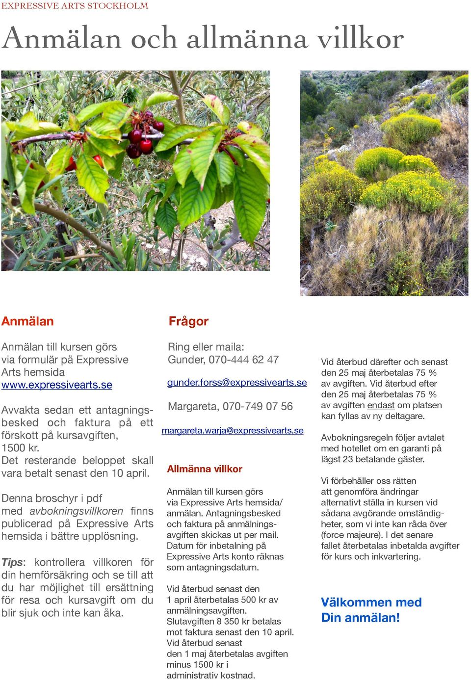 Denna broschyr i pdf med avbokningsvillkoren finns publicerad på Expressive Arts hemsida i bättre upplösning.