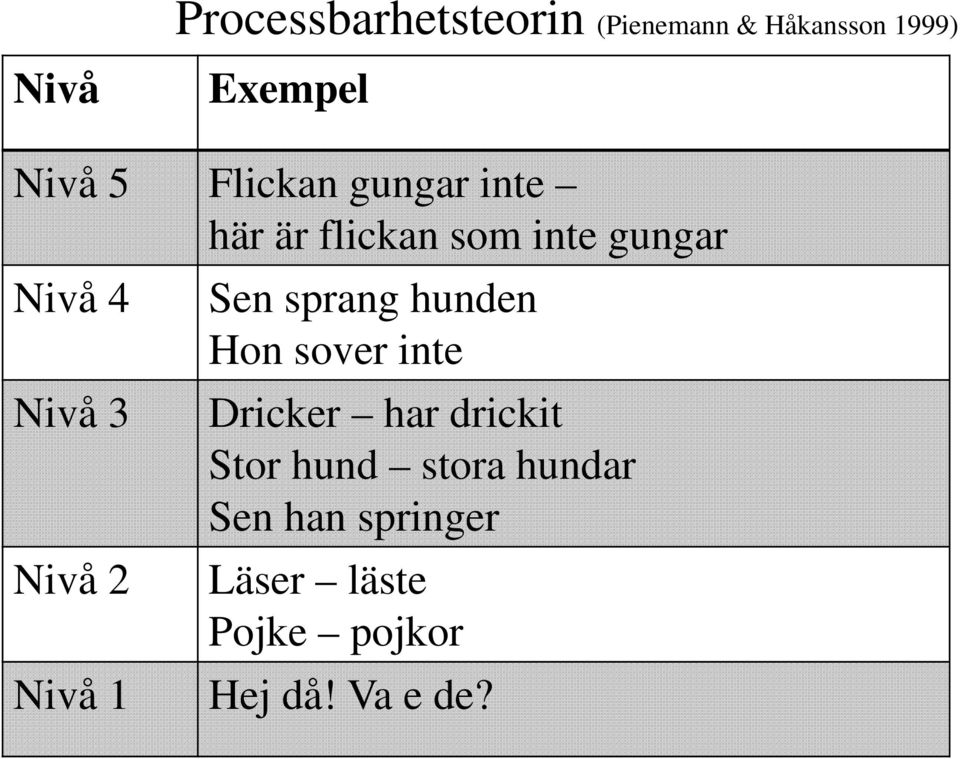 2 Nivå 1 Sen sprang hunden Hon sover inte Dricker har drickit Stor