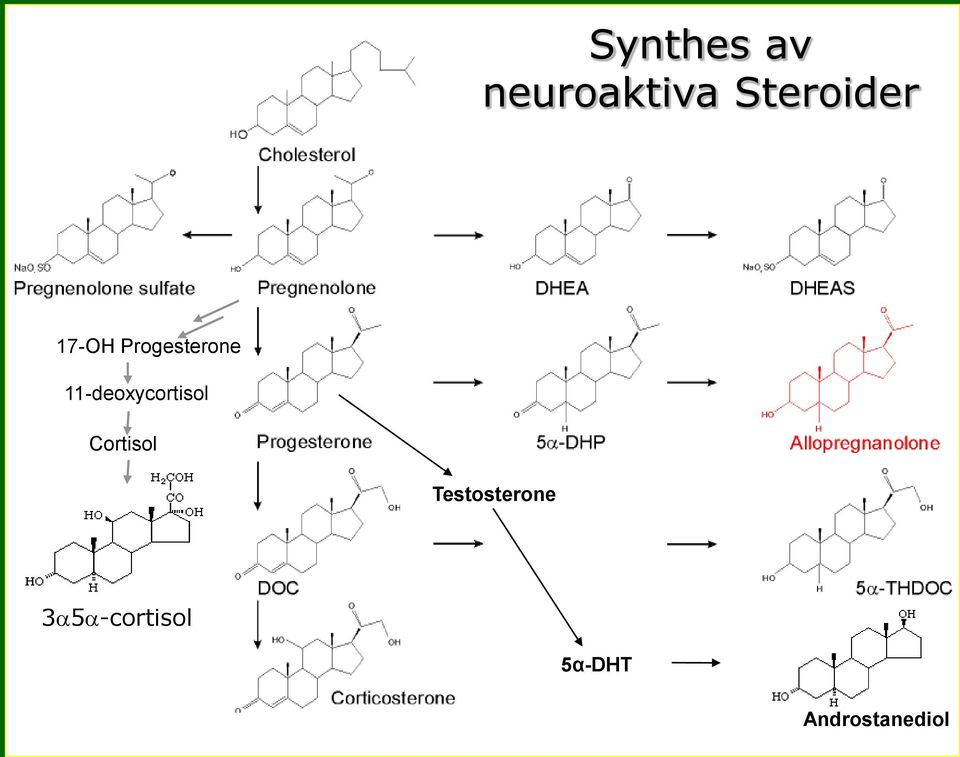 11-deoxycortisol Cortisol