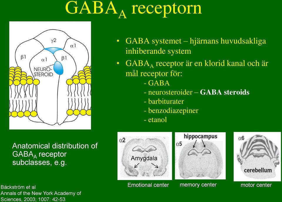 benzodiazepiner - etanol Anatomical distribution of GABA A receptor subclasses, e.g.