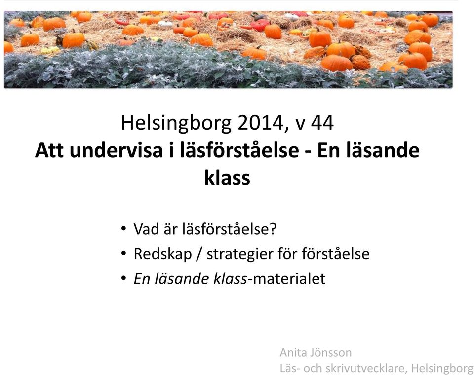 Redskap / strategier för förståelse En läsande