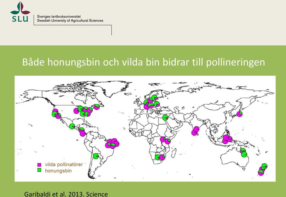 pollineringen