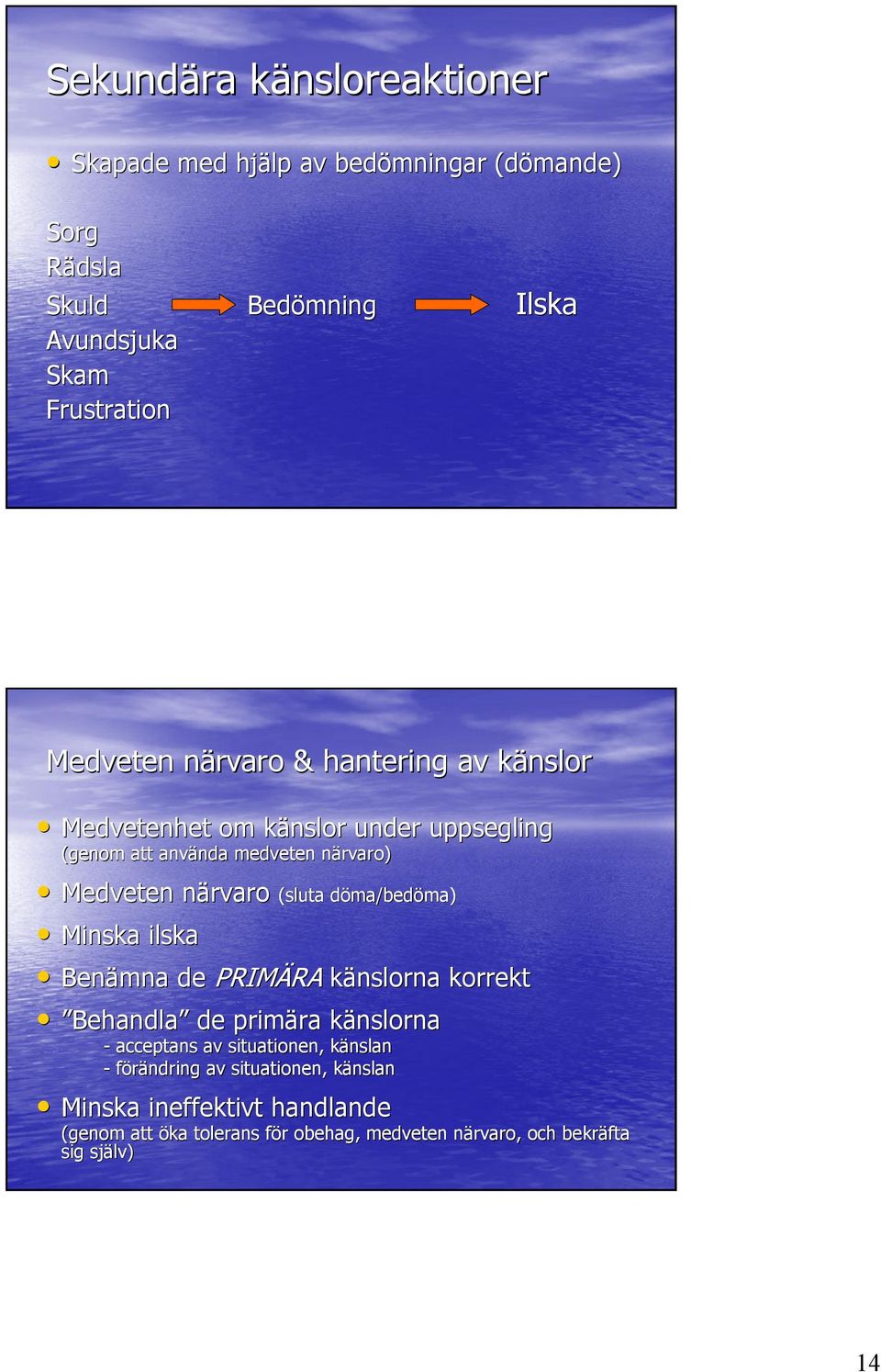 döma/bedd ma/bedöma) ma) Minska ilska Benämna de PRIMÄRA RA känslorna korrekt Behandla de primära ra känslornak - acceptans av situationen,