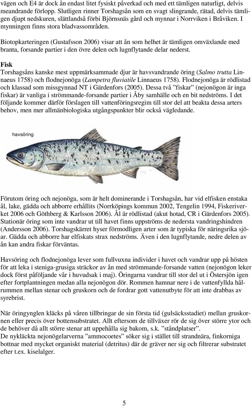 I mynningen finns stora bladvassområden.